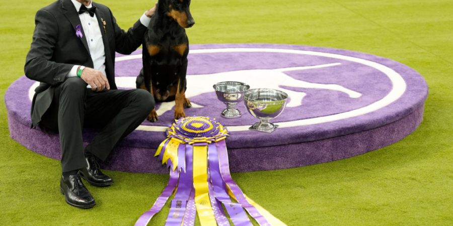 dpatopbilder - Dobermann «Penny» mit Hundeführer Andy Linton. Foto: Yuki Iwamura/AP/dpa