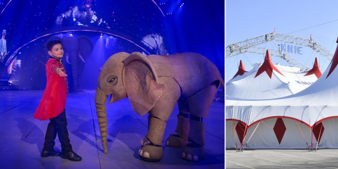 Circus Knie