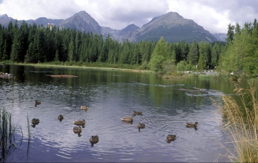 Das Tatra-Gebirge zählt zu den schönsten Berglandschaften Osteuropas.