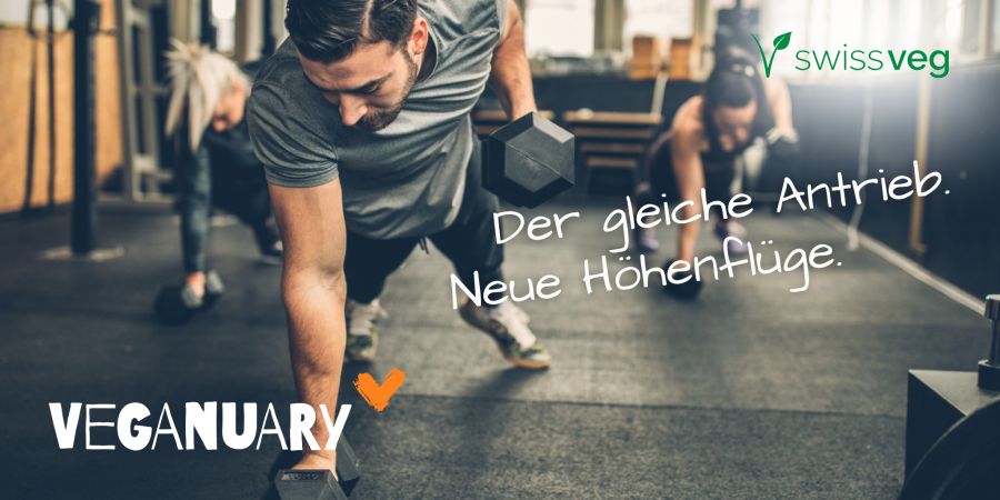 Entdecke, wie dein Körper durch die vegane Ernährung zu neuen Kräften kommt.