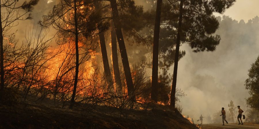 Waldbrand Spanien