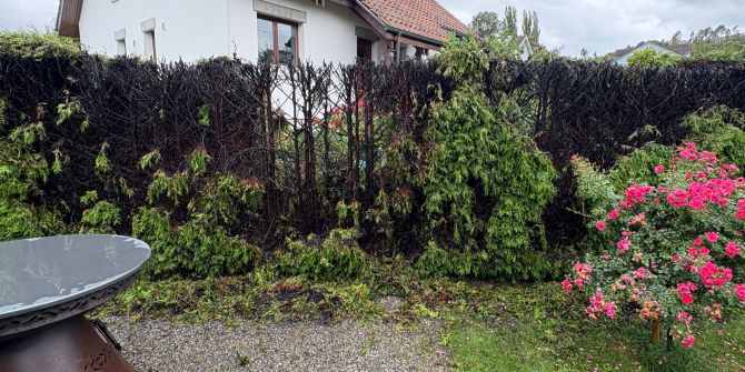 Roggwil TG