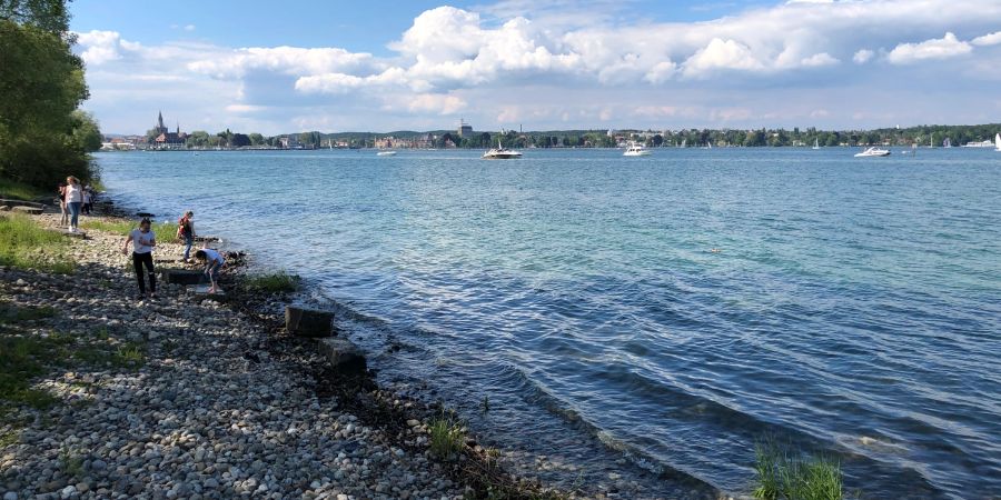 Ufer Bodensee Steine Menschen