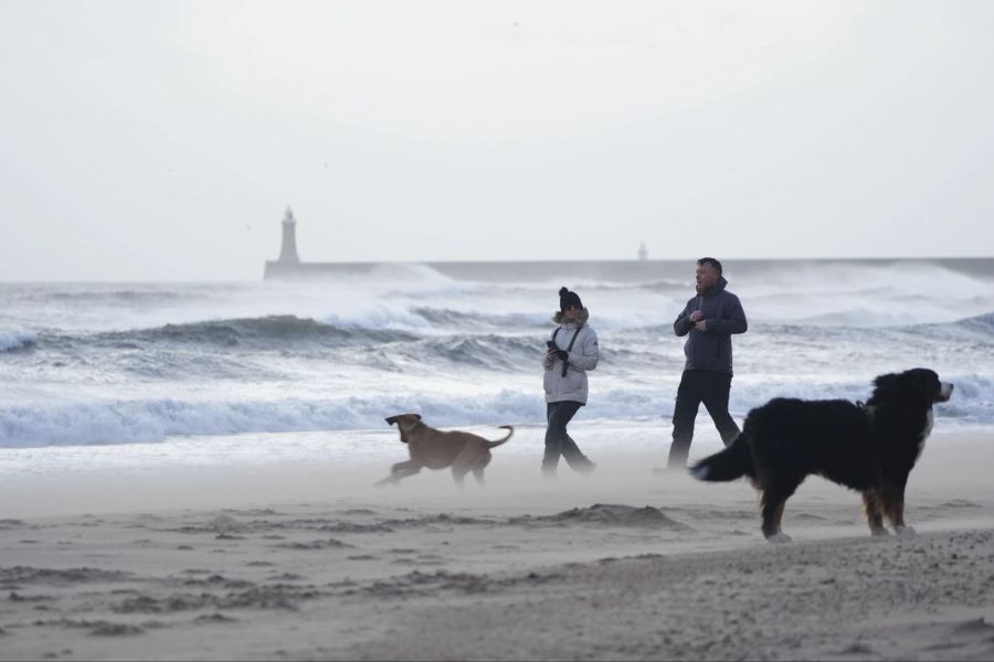 Zwei Personen mit ihren Hunden in Tynemouth Longsands an der Nordost-Küste in England.