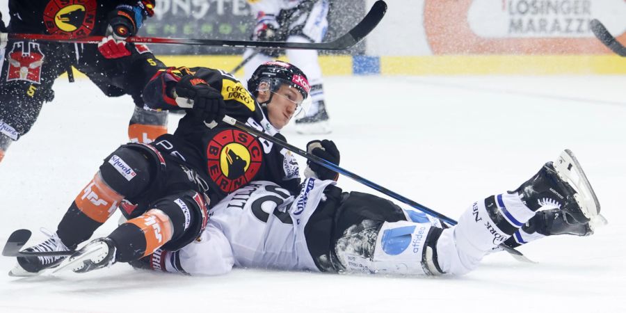 SC Bern Fribourg-Gottéron