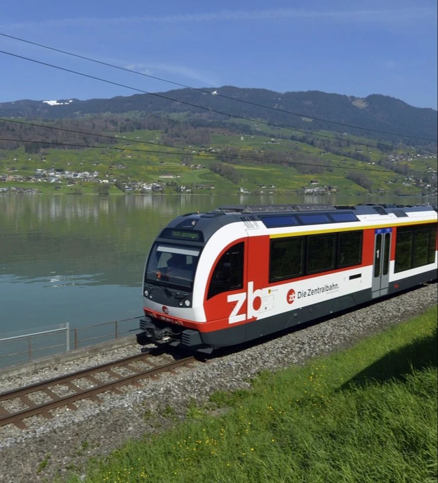 Hintergrund ist ein Vorfall in Luzern, der für Wirbel gesorgt hat. (Archivbild)