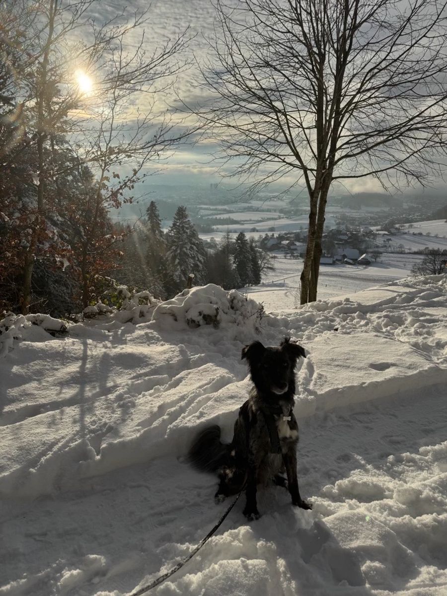 Sie hat Snow aus dem Tierschutz.