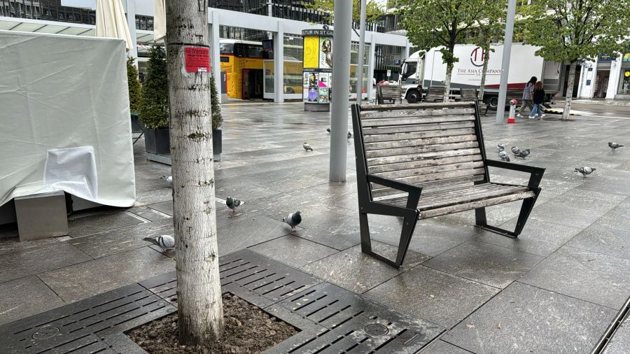 In St. Gallen sind im Sommer vermehrt Ratten beim Kornhausplatz gesichtet worden.