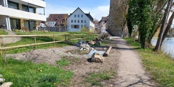 Ökologische Aufwertung Augraben und Reussuferweg Bremgarten