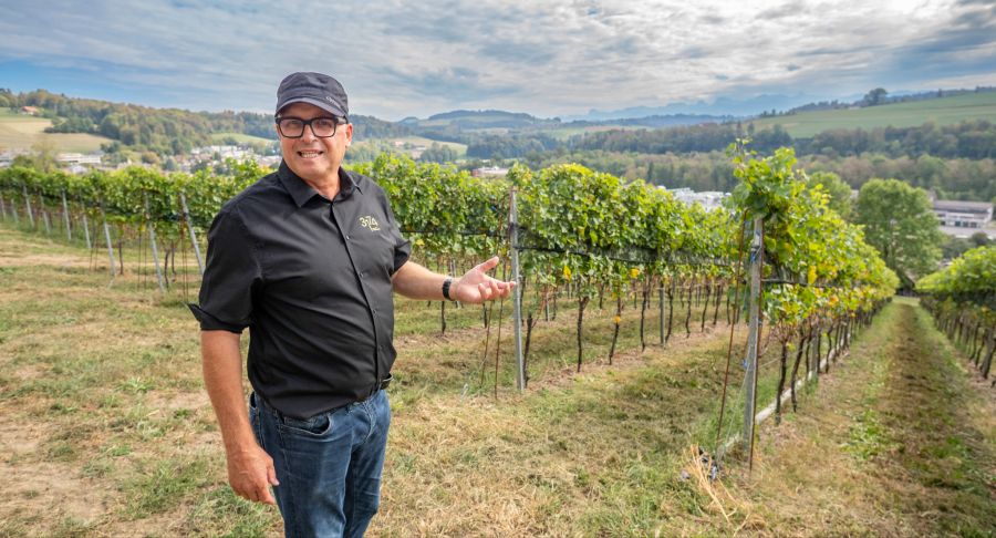 Neowinzer Peter Herren pflanzte 2023 auf seinem Grundstück Reben und holte sich auf Anhieb in den Kategorien «Bester Rosé des Kantons» und «Bester Piwi-Wein des Kantons» den ersten Rang.