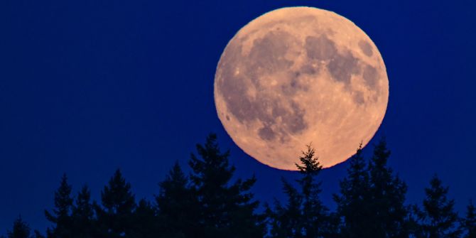 Mond