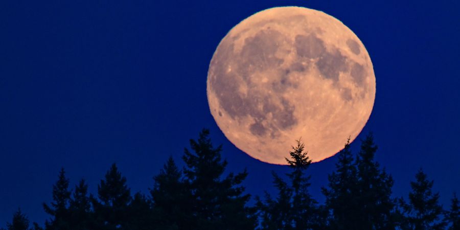 Mond