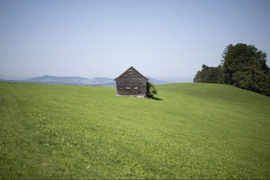 Die Bauern bangen wegen des dadurch entstandenen Schadens um ihre Existenz.