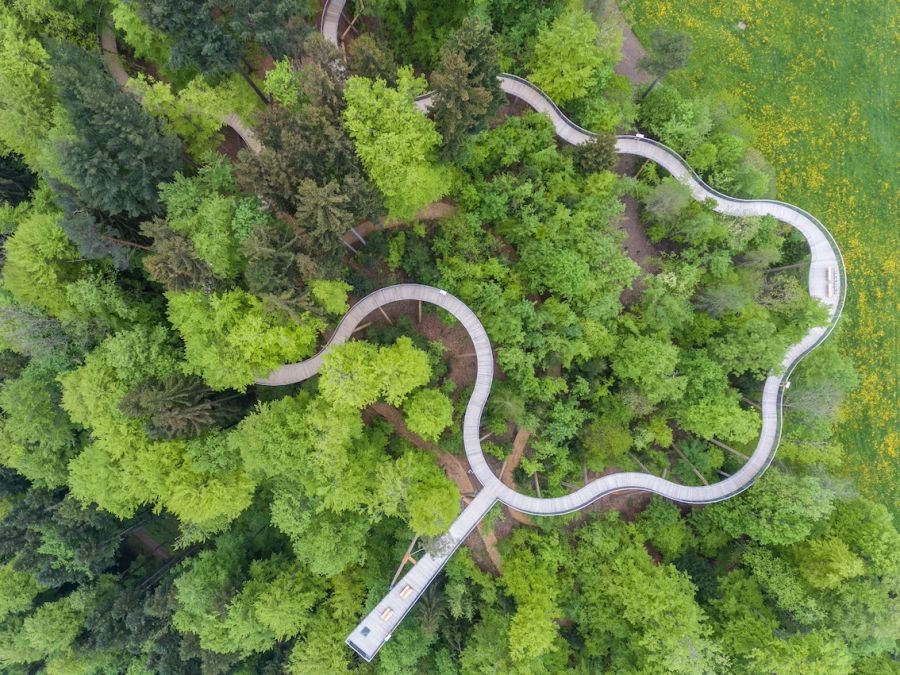 Baumwipfelpfad Neckertal Toggenburg