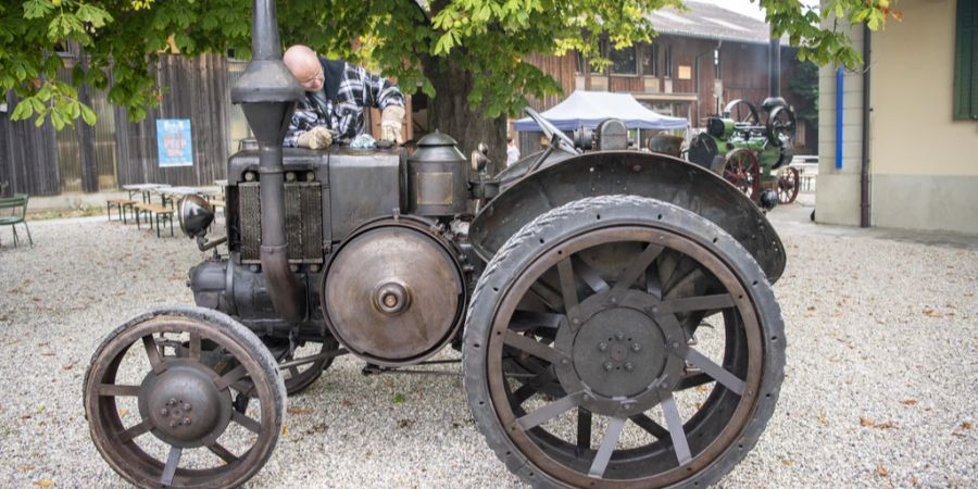 Denkmals im Schweizerischen