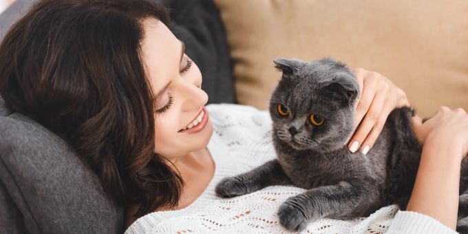 Katzen genießen oft das Streicheln am Kopf und den Wangen, da diese Zonen mit sozialem Bindungsverhalten verbunden sind und sie dieses Streicheln als angenehm empfinden. Frau mit grauer Katze auf dem Bauch.
