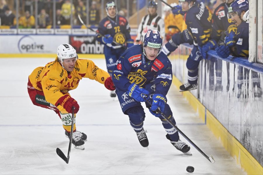 SCL Tigers HC Davos