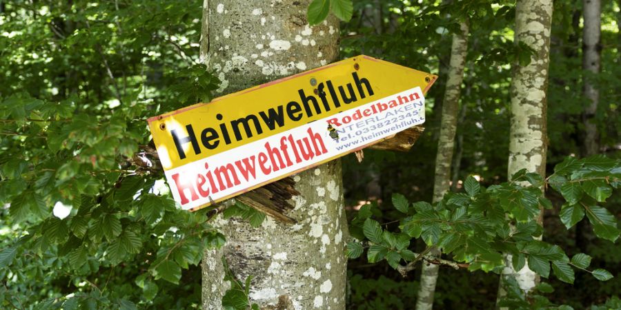 Heimwehfluh Rodelbahn