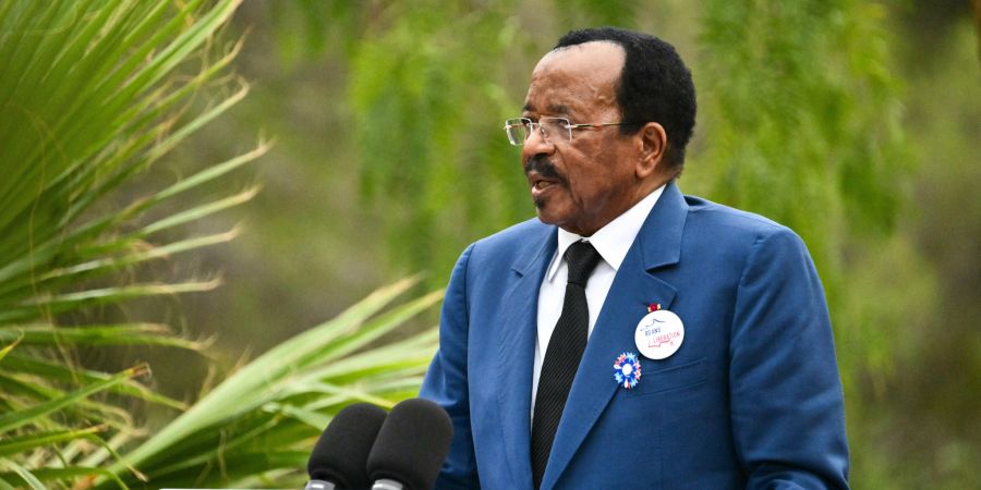 Cameroon Politics