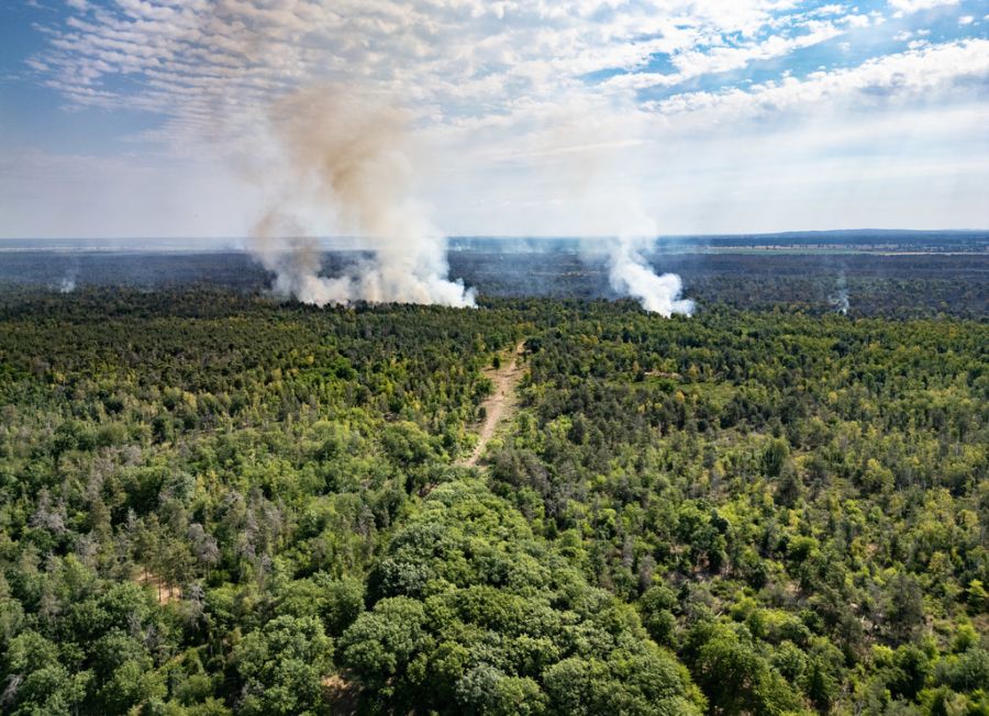 brand sachsen
