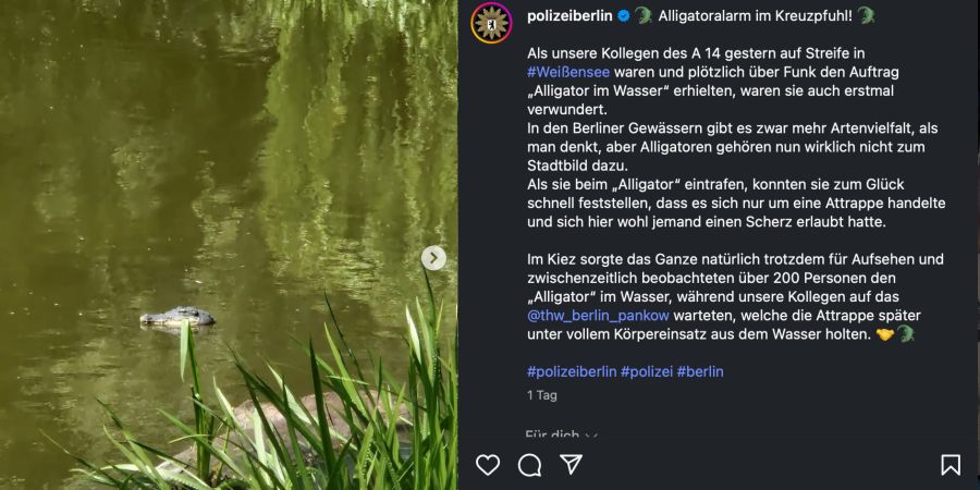 alligator berlin