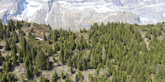 Gleitschirmunfall in Betschwanden GL – Pilot (51) verletzt. Gleitschirmunfall