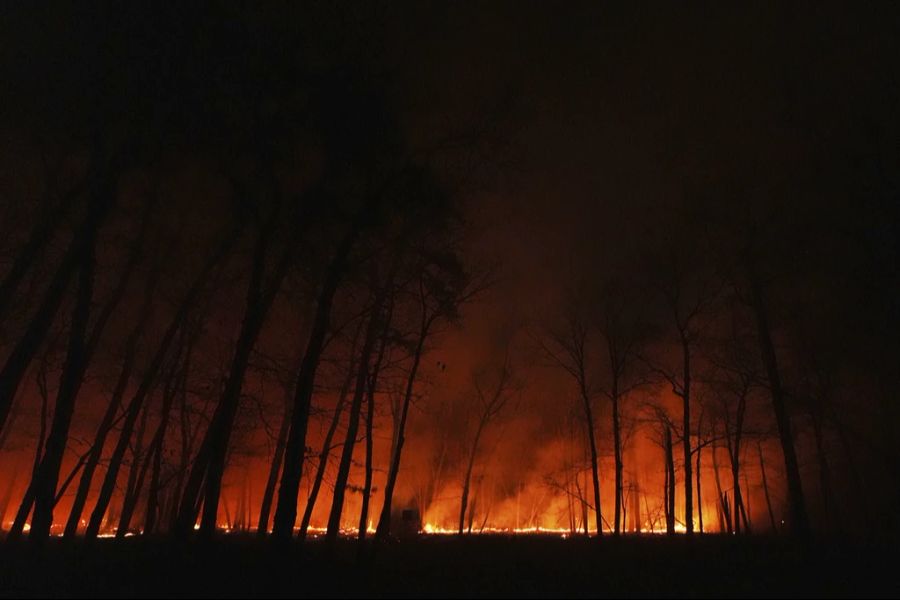 Brand