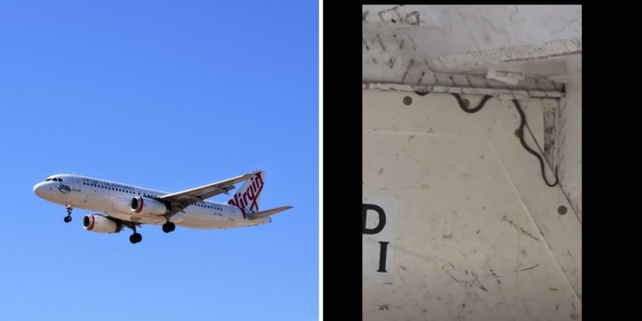 schlange flug