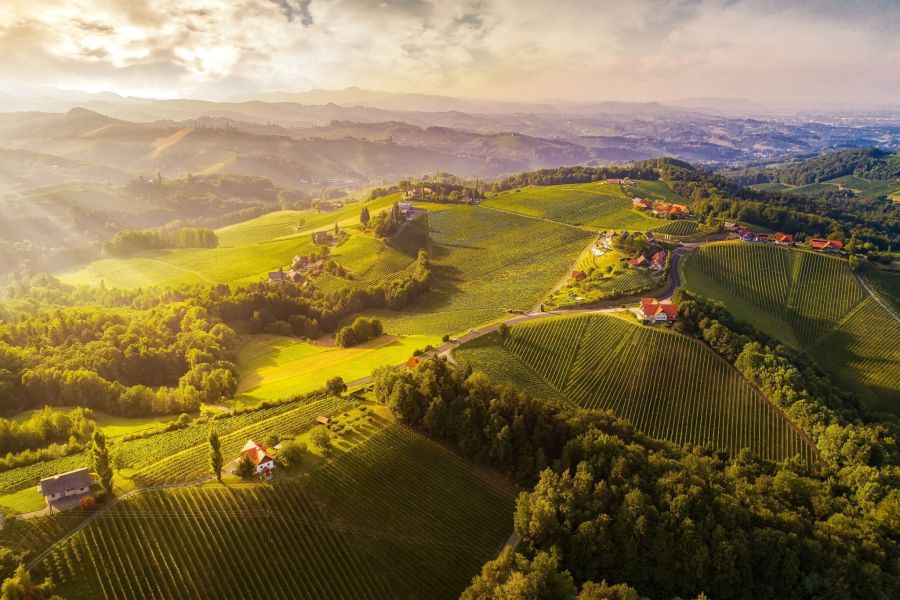 Die Weinberge verwandeln die Südsteiermark in eine bezaubernde Landschaft.