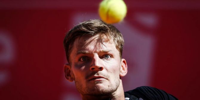 David Goffin