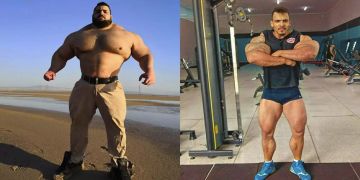 Hulk Kampf MMA-Fight