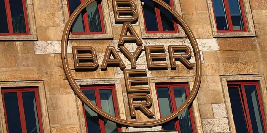 bayer ag