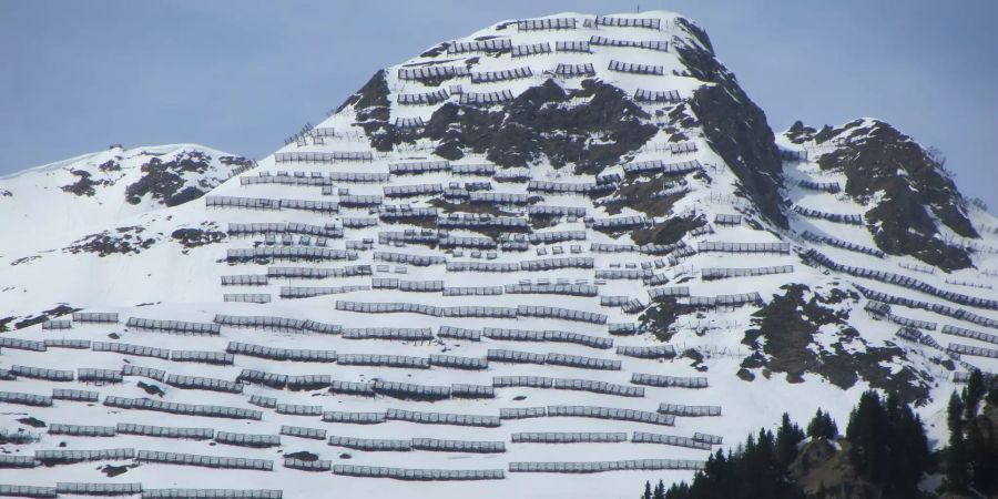 Lawinenschutzprojekte in Österreich