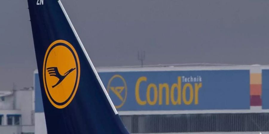 Ein Lufthansa-Airbus vor dem Logo von Condor. Foto: Silas Stein/dpa