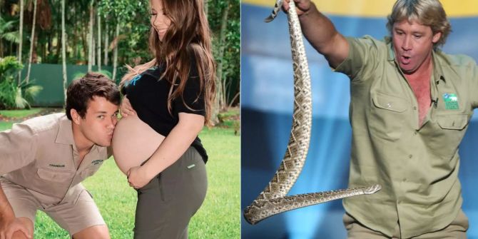 steve irwin