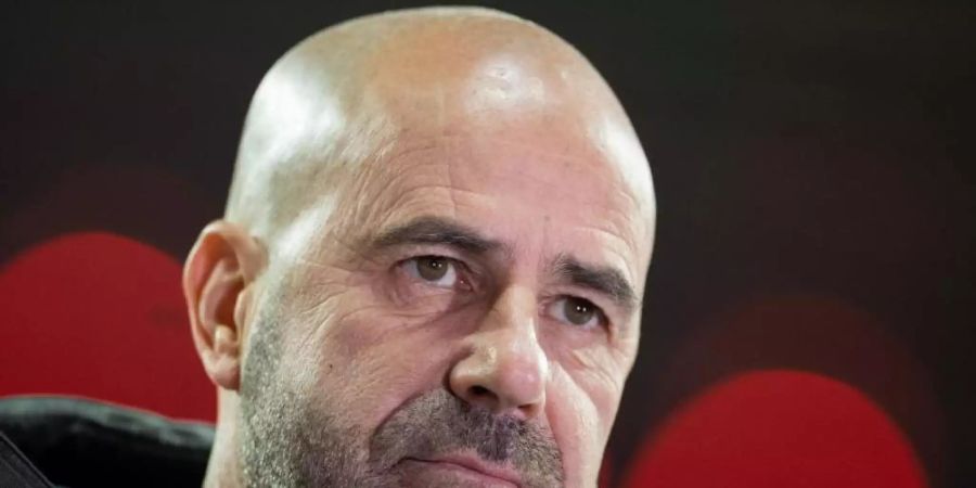 Leverkusens Trainer, Peter Bosz. Foto: Rolf Vennenbernd/dpa