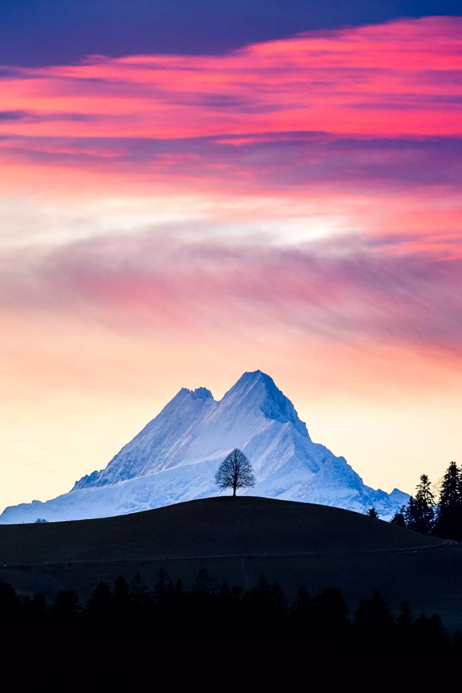 Schreckhorn