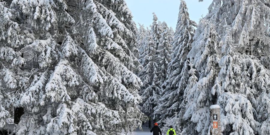 Verschneite Wälder sind für viele Urlauber ein Pluspunkt.