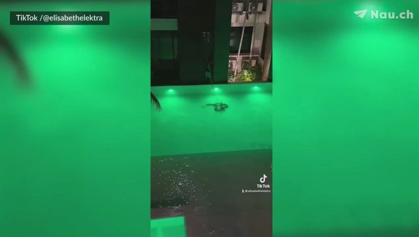 pool