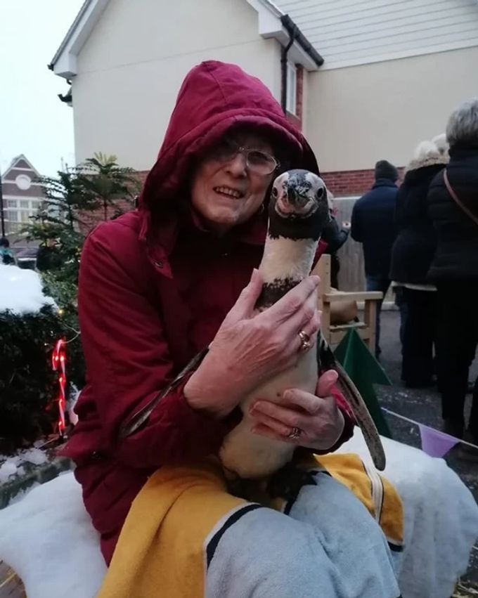 Eine Seniorin des Altenheims freut sich über den Pinguin-Besuch Essex