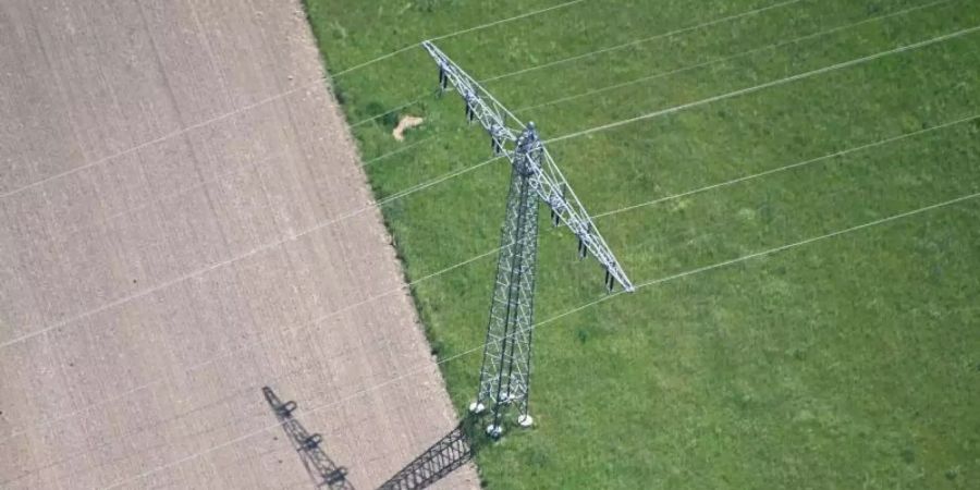 Deutschlandweit stiegen die Stromkosten laut dem Vergleichsportal in den vergangenen zwölf Monaten um 1,4 Prozent. Foto: Uli Deck/dpa