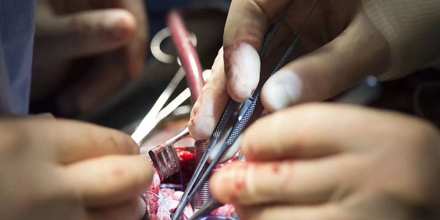 Herzchirurgie Fall Maisano