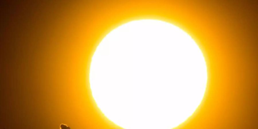 Hitze Sonne