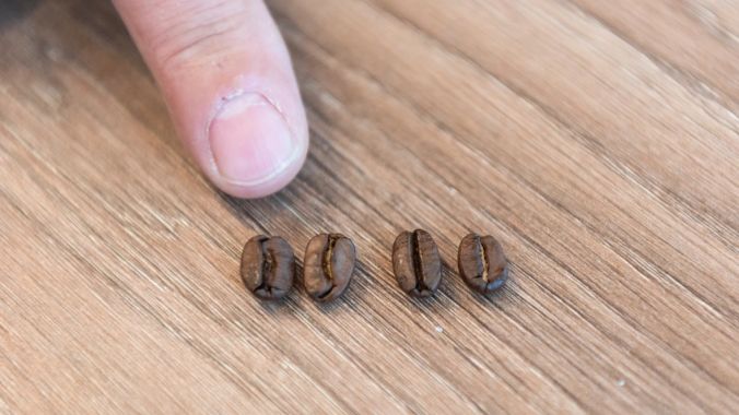 Die Bohne macht den Unterschied. Die Zwillinge Gullo ernten und rösten ihren Kaffee selbst