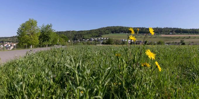 Die Landschaft bei der Einfahrt von Müslen in Birmenstorf (AG). Die Landschaft bei der Einfahrt von Müslen in Birmenstorf (AG).