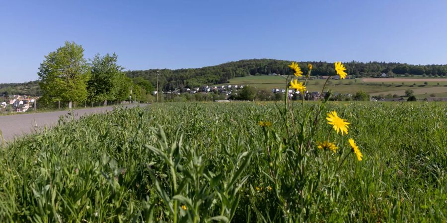 Die Landschaft bei der Einfahrt von Müslen in Birmenstorf (AG).