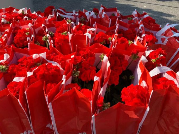 blumen