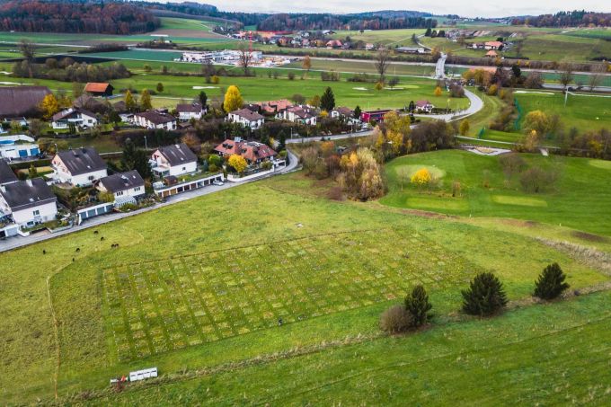 336 Pflöcke stecken auf einem Feld in Münchenbuchsee. Münchenbuchsee