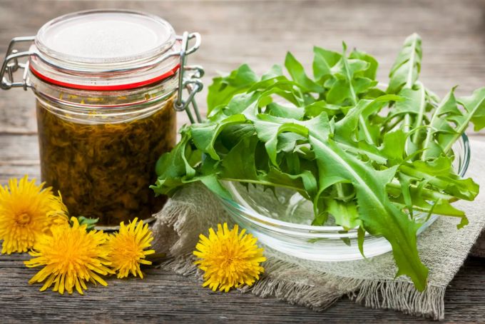 Löwenzahn ist auch eine Heilpflanze. Löwenzahnblüten und -blätter