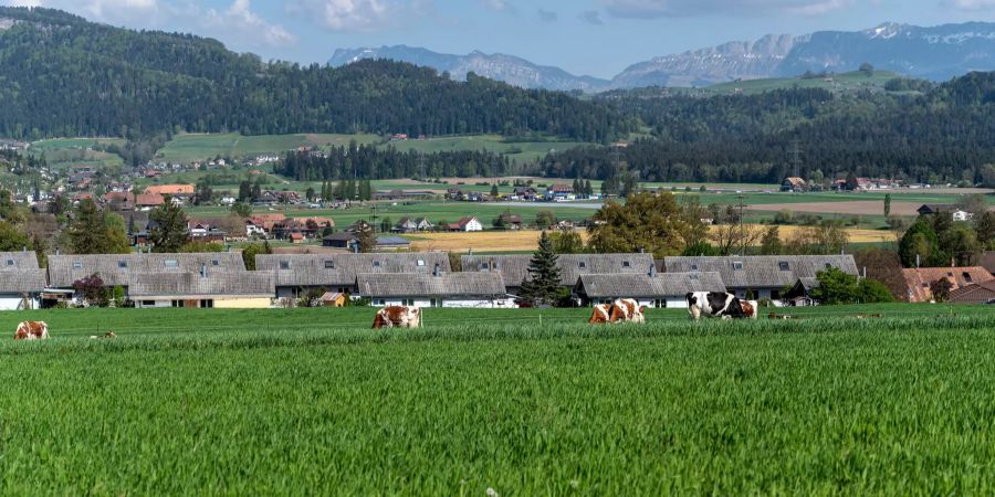 Blick auf die Dächer eines Neubauquartiers in Jaberg.